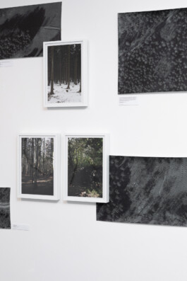 Installtionsansicht Elsa Kunstraum Bielefeld 2022